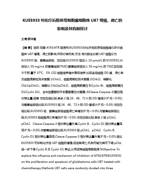 KU55933对化疗后胶质母细胞瘤细胞株U87增殖、凋亡的影响及其机制探讨