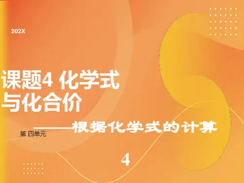 化学式与化合价计算