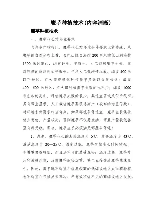 魔芋种植技术(内容清晰)