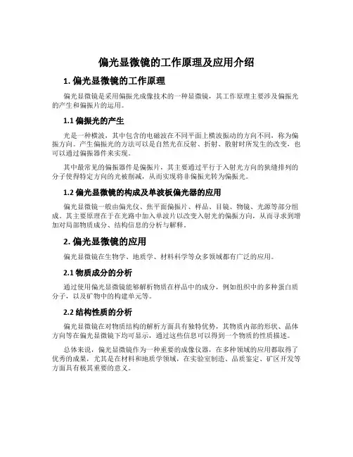 偏光显微镜的工作原理及应用介绍