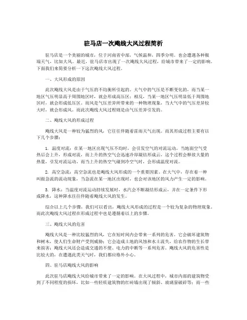 驻马店一次飑线大风过程简析