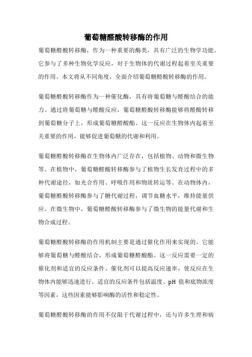 葡萄糖醛酸转移酶的作用