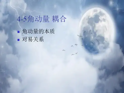 角动量 耦合PPT教学课件