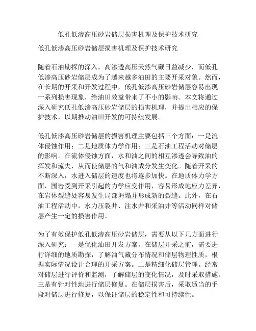 低孔低渗高压砂岩储层损害机理及保护技术研究