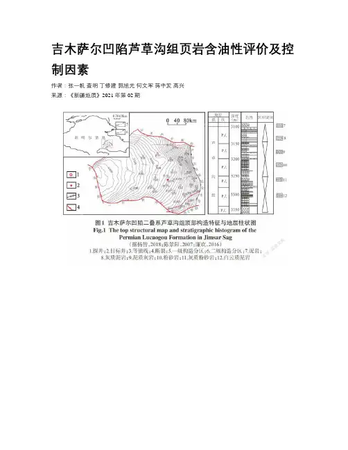 吉木萨尔凹陷芦草沟组页岩含油性评价及控制因素