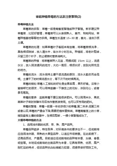 家庭种植草莓的方法及注意事项（2）