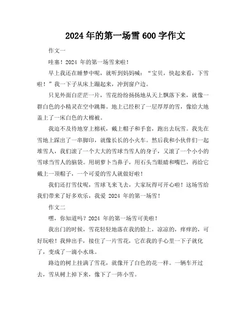 2024年的第一场雪600字作文