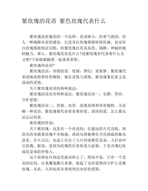 紫玫瑰的花语 紫色玫瑰代表什么