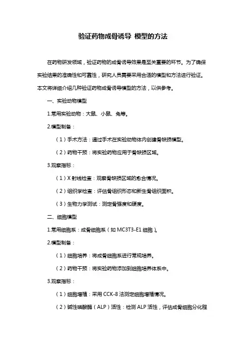 验证药物成骨诱导 模型的方法