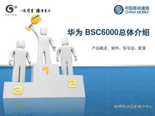华为BSC系统介绍-文档资料
