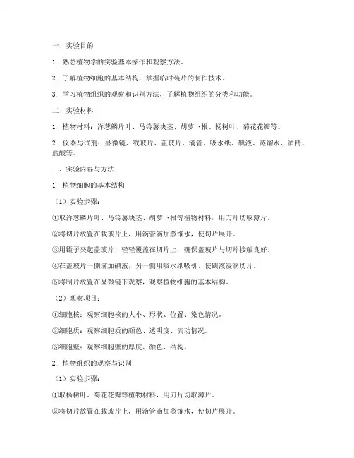 植物学基础实验报告