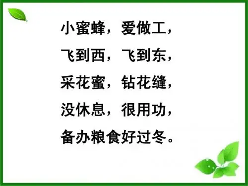 14蜜蜂PPT.商水一小  梁二霞