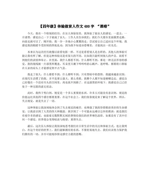 【四年级】体验做盲人作文400字 “黑暗”