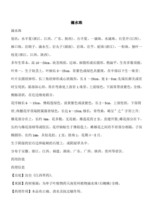 【优秀文档】滴水珠