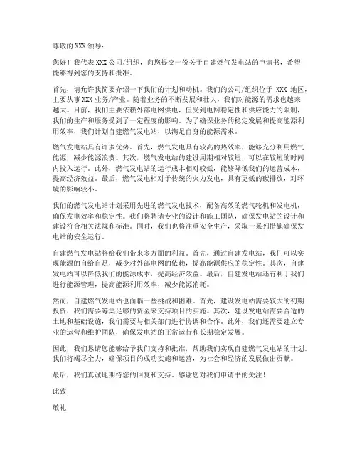 自建燃气发电站申请书模板