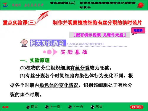 重点实验课(三)  制作并观察植物细胞有丝分裂的临时装片