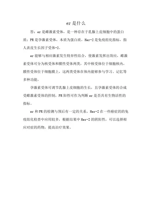 er是什么
