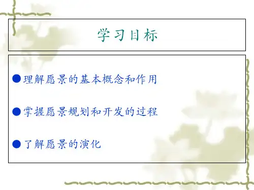 管理学之愿景概述