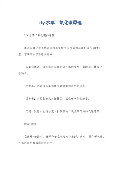 diy水草二氧化碳原理