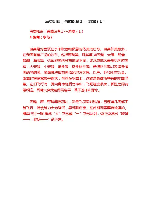 鸟类知识，看图识鸟Ⅰ---游禽（1）