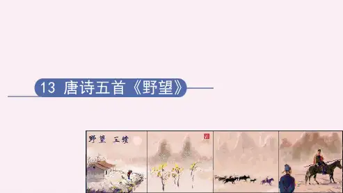 第13课《唐诗五首——野望》课件
