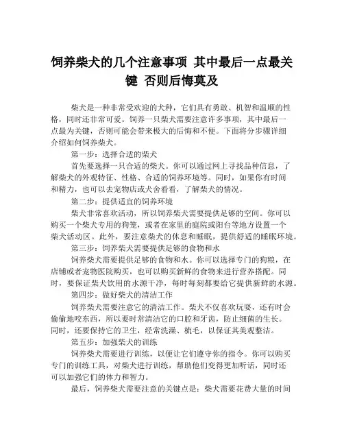 饲养柴犬的几个注意事项 其中最后一点最关键 否则后悔莫及
