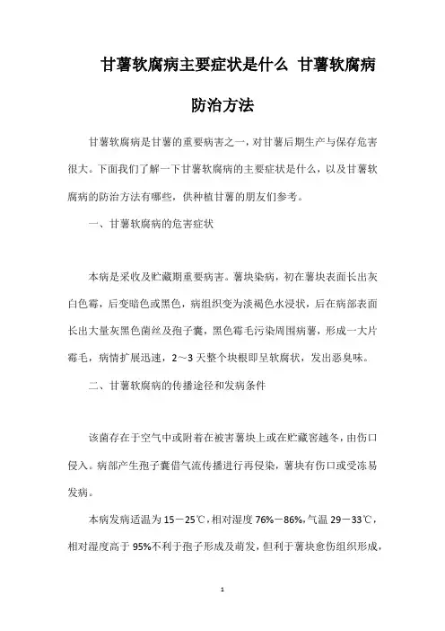 甘薯软腐病主要症状是什么甘薯软腐病防治方法