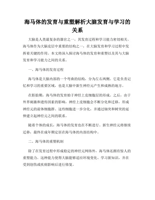 海马体的发育与重塑解析大脑发育与学习的关系