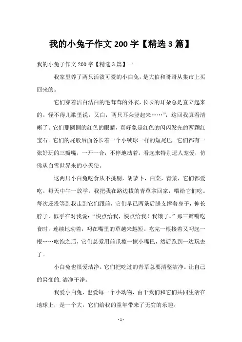 我的小兔子作文200字【3篇】