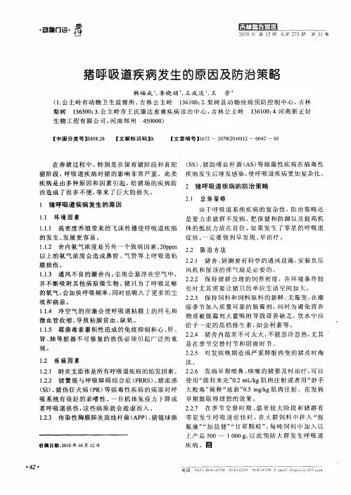 猪呼吸道疾病发生的原因及防治策略