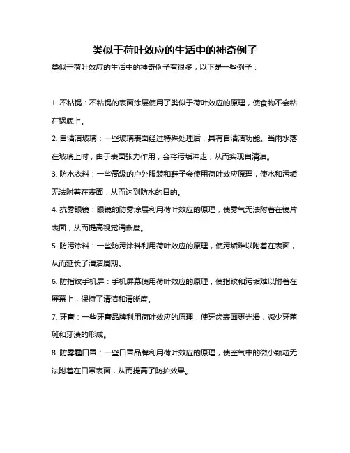 类似于荷叶效应的生活中的神奇例子