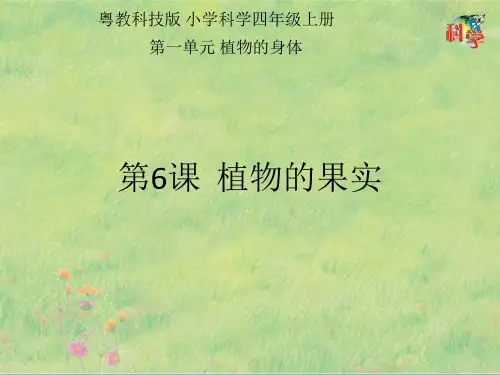 《植物的果实》PPT粤教版小学1