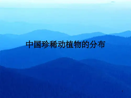 中国珍稀动植物的分布 ppt