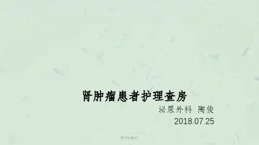 肾癌(护理查房)课件