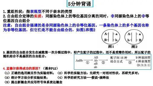 备战2024年高考生物一轮复习全方位精讲课件(新教材新高考)精讲15 基因的自由组合定律