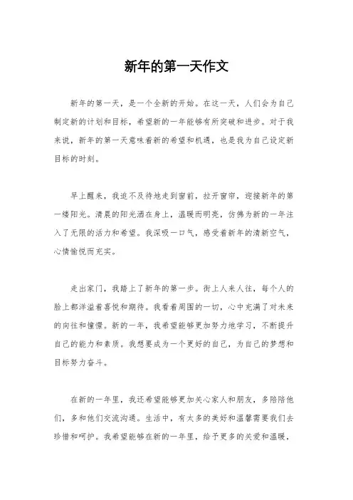 新年的第一天作文