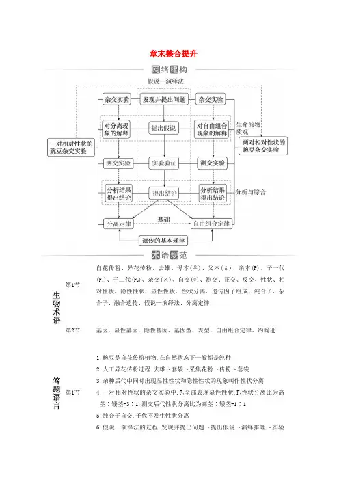 2023高中生物第1章遗传因子的发现章末整合提升新人教版必修2