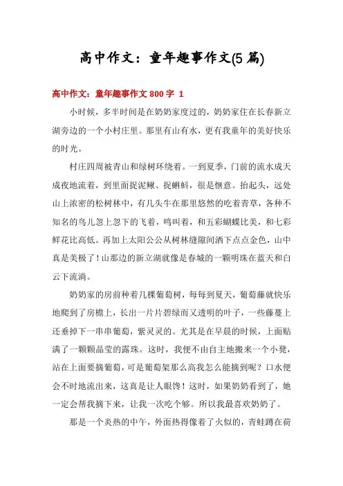 高中作文：童年趣事作文(5篇)