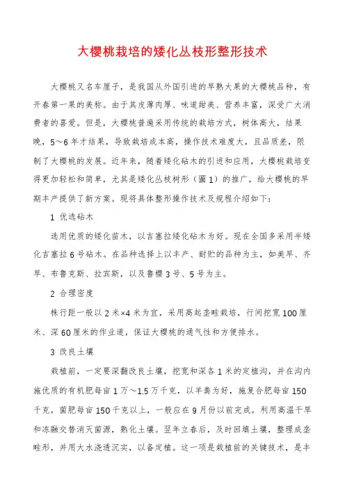 大樱桃栽培的矮化丛枝形整形技术