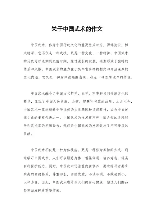 关于中国武术的作文