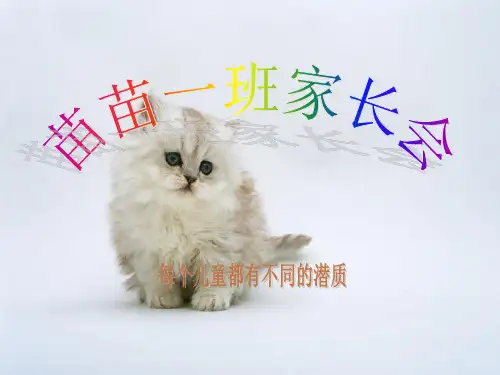 幼儿园中班家长会PPT课件