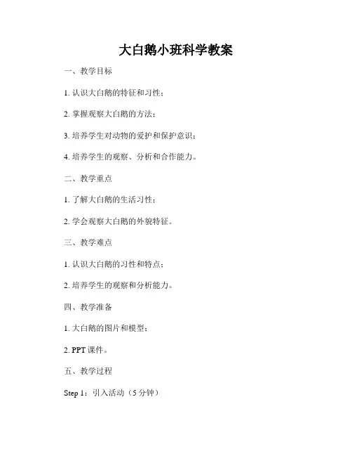 大白鹅小班科学教案