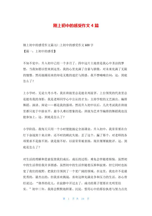 刚上初中的感受作文4篇
