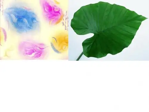 学科课件制作资料素材