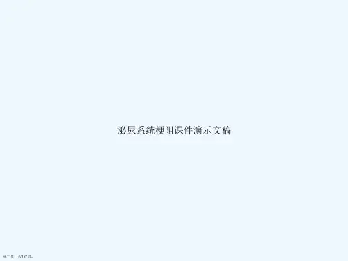 泌尿系统梗阻课件演示文稿