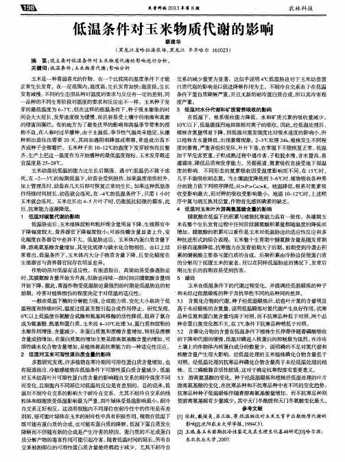 低温条件对玉米物质代谢的影响
