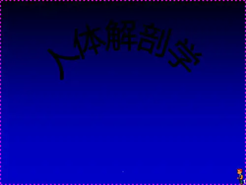 人体解剖学--人体的基本构成