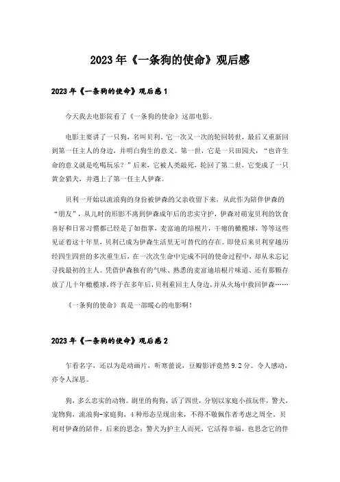 2023年《一条狗的使命》观后感_12