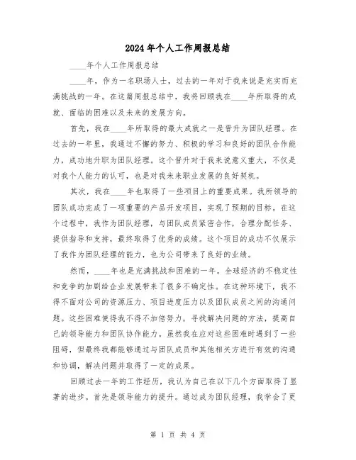 2024年个人工作周报总结(2篇)
