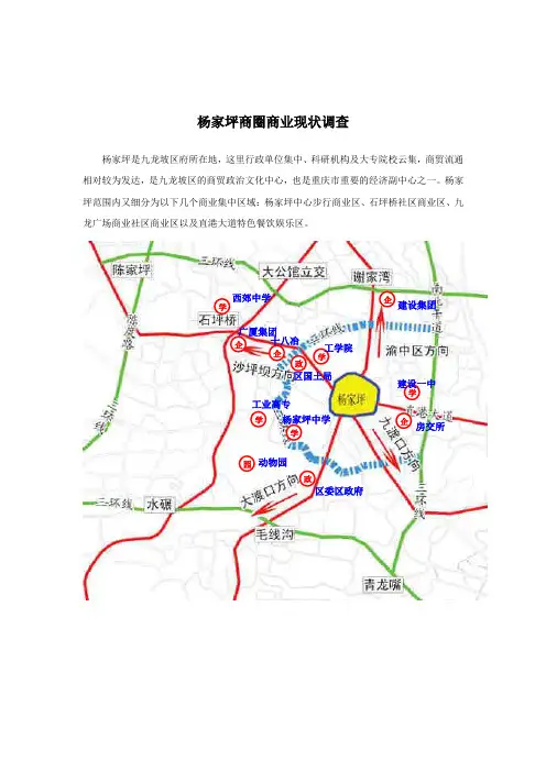 杨家坪商圈商业现状调查